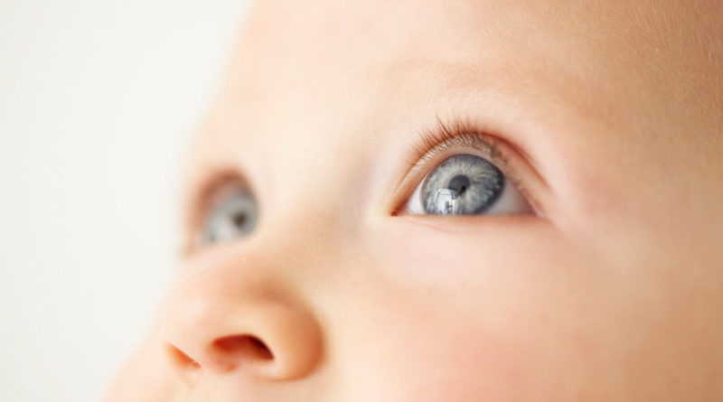 Детское зрение: этапы развития в первый год жизни